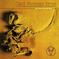 Capitalist Punishment - Cat Rapes Dog